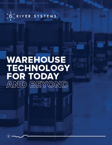 6RS_whitepaper_2022-Warehouse Technology_cover